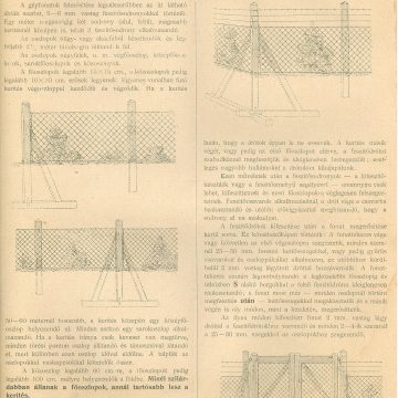 Pécsi Henrik drótfonat 1911