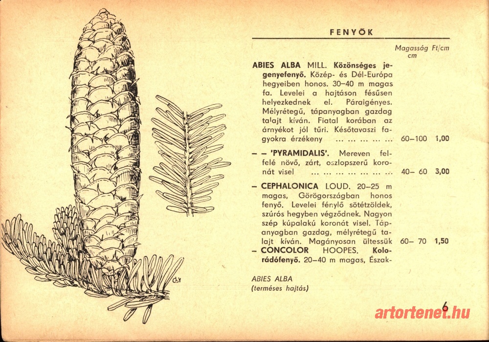 Arj_kepek (194)